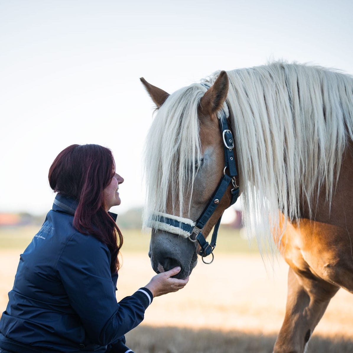 Pferdephysiotherapie-Daniela-Wolfinger-Physiotherapie-Pferd-Ulm-Günzburg-Baden-Württemberg-Bayern
